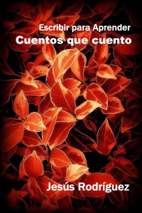 VLUU L210  / Samsung L210